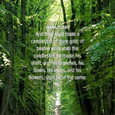Picture 04 - Exodus 25:31 KJV - And thou shalt make a candlestick of pure gold: - Bible Verse Picture