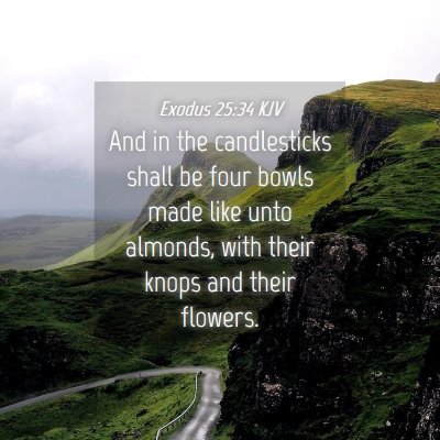 Picture 04 - Exodus 25:34 KJV - And in the candlesticks shall be four bowls made - Bible Verse Picture