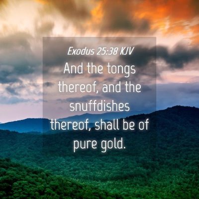 Picture 04 - Exodus 25:38 KJV - And the tongs thereof, and the snuffdishes - Bible Verse Picture
