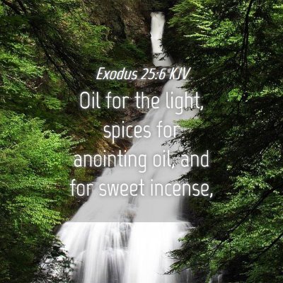 Picture 04 - Exodus 25:6 KJV - Oil for the light, spices for anointing oil, and - Bible Verse Picture