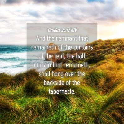 Picture 04 - Exodus 26:12 KJV - And the remnant that remaineth of the curtains of - Bible Verse Picture