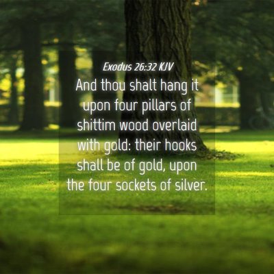 Picture 04 - Exodus 26:32 KJV - And thou shalt hang it upon four pillars of - Bible Verse Picture