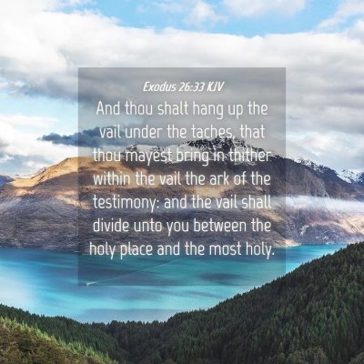 Picture 04 - Exodus 26:33 KJV - And thou shalt hang up the vail under the taches, - Bible Verse Picture