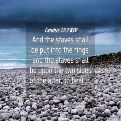 Picture 04 - Exodus 27:7 KJV - And the staves shall be put into the rings, and - Bible Verse Picture