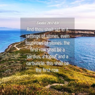 Picture 04 - Exodus 28:17 KJV - And thou shalt set in it settings of stones, even - Bible Verse Picture