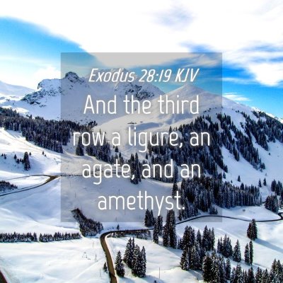 Picture 04 - Exodus 28:19 KJV - And the third row a ligure, an agate, and an - Bible Verse Picture