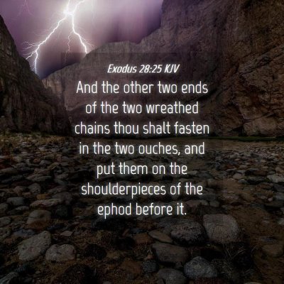 Picture 04 - Exodus 28:25 KJV - And the other two ends of the two wreathed chains - Bible Verse Picture