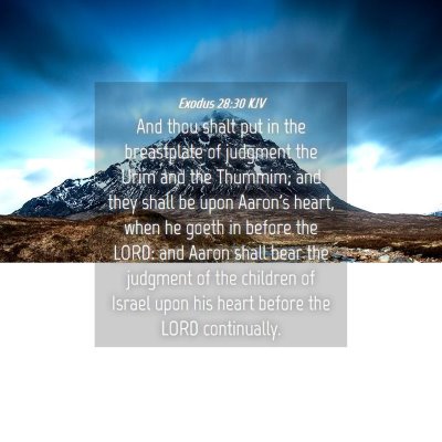Picture 04 - Exodus 28:30 KJV - And thou shalt put in the breastplate of judgment - Bible Verse Picture