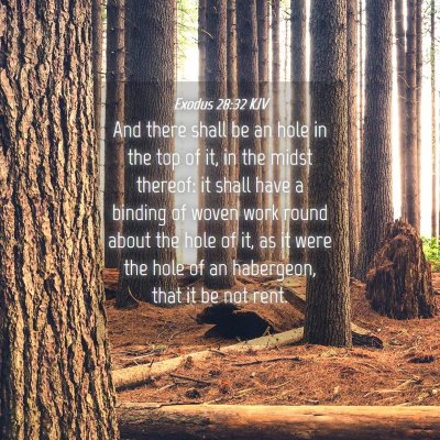 Picture 04 - Exodus 28:32 KJV - And there shall be an hole in the top of it, in - Bible Verse Picture