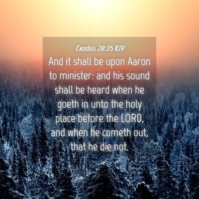 Picture 04 - Exodus 28:35 KJV - And it shall be upon Aaron to minister: and his - Bible Verse Picture
