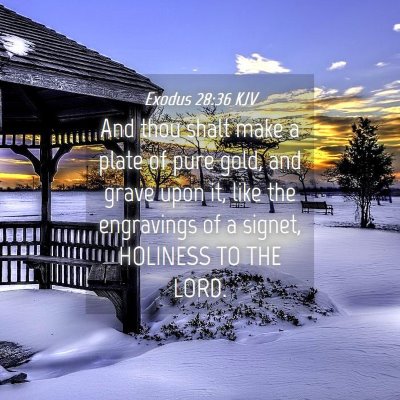 Picture 04 - Exodus 28:36 KJV - And thou shalt make a plate of pure gold, and - Bible Verse Picture