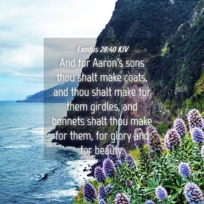 Picture 04 - Exodus 28:40 KJV - And for Aaron's sons thou shalt make coats, and - Bible Verse Picture