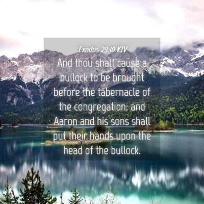 Picture 04 - Exodus 29:10 KJV - And thou shalt cause a bullock to be brought - Bible Verse Picture