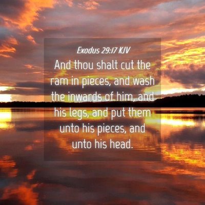 Picture 04 - Exodus 29:17 KJV - And thou shalt cut the ram in pieces, and wash - Bible Verse Picture