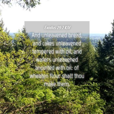 Picture 04 - Exodus 29:2 KJV - And unleavened bread, and cakes unleavened - Bible Verse Picture