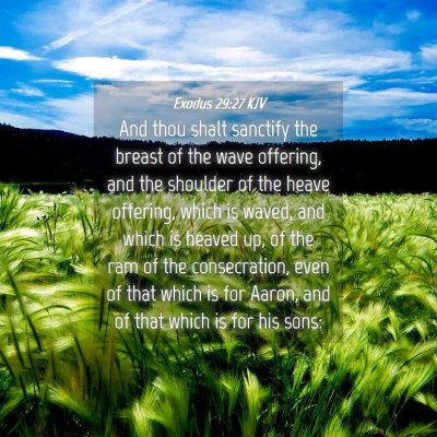 Picture 04 - Exodus 29:27 KJV - And thou shalt sanctify the breast of the wave - Bible Verse Picture