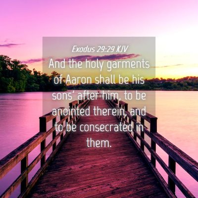 Picture 04 - Exodus 29:29 KJV - And the holy garments of Aaron shall be his sons' - Bible Verse Picture