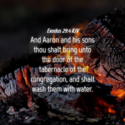 Picture 04 - Exodus 29:4 KJV - And Aaron and his sons thou shalt bring unto the - Bible Verse Picture