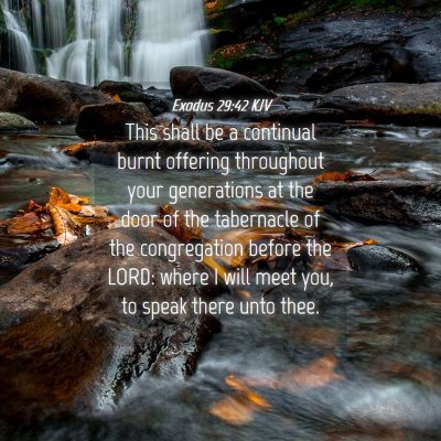 Picture 04 - Exodus 29:42 KJV - This shall be a continual burnt offering - Bible Verse Picture