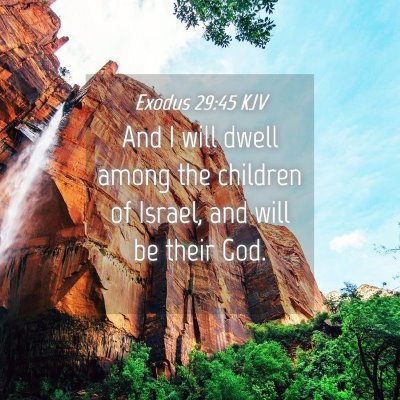 Picture 04 - Exodus 29:45 KJV - And I will dwell among the children of Israel, - Bible Verse Picture
