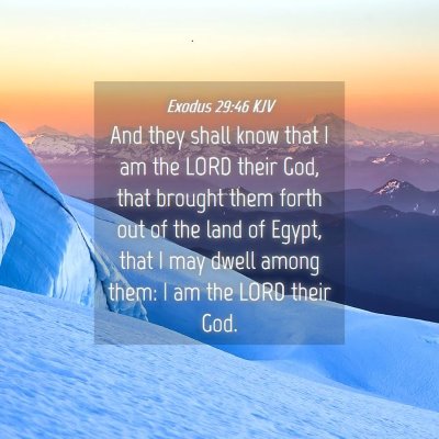 Picture 04 - Exodus 29:46 KJV - And they shall know that I am the LORD their God, - Bible Verse Picture