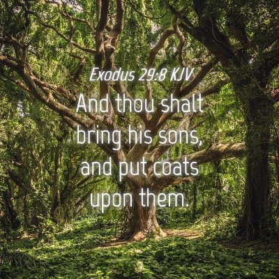 Picture 04 - Exodus 29:8 KJV - And thou shalt bring his sons, and put coats upon - Bible Verse Picture