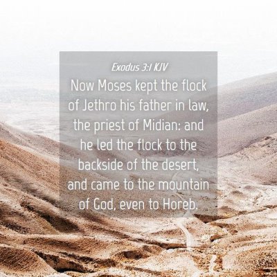 Picture 04 - Exodus 3:1 KJV - Now Moses kept the flock of Jethro his father in - Bible Verse Picture