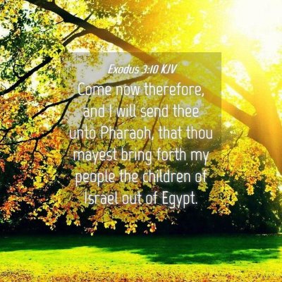 Picture 04 - Exodus 3:10 KJV - Come now therefore, and I will send thee unto - Bible Verse Picture