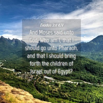 Picture 04 - Exodus 3:11 KJV - And Moses said unto God, Who am I, that I should - Bible Verse Picture