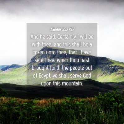 Picture 04 - Exodus 3:12 KJV - And he said, Certainly I will be with thee; and - Bible Verse Picture