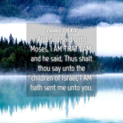 Picture 04 - Exodus 3:14 KJV - And God said unto Moses, I AM THAT I AM: and he - Bible Verse Picture
