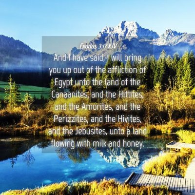 Picture 04 - Exodus 3:17 KJV - And I have said, I will bring you up out of the - Bible Verse Picture