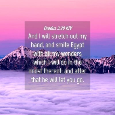 Picture 04 - Exodus 3:20 KJV - And I will stretch out my hand, and smite Egypt - Bible Verse Picture