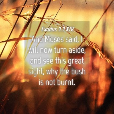 Picture 04 - Exodus 3:3 KJV - And Moses said, I will now turn aside, and see - Bible Verse Picture