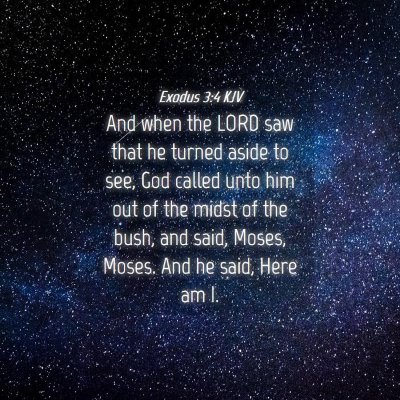 Picture 04 - Exodus 3:4 KJV - And when the LORD saw that he turned aside to - Bible Verse Picture
