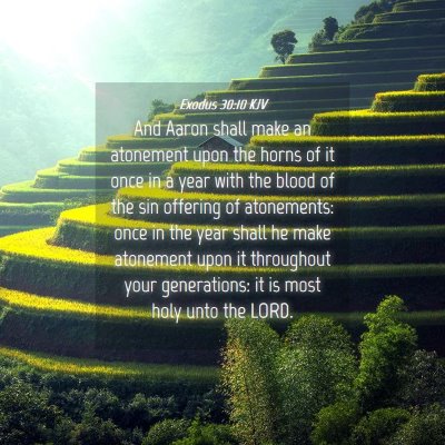 Picture 04 - Exodus 30:10 KJV - And Aaron shall make an atonement upon the horns - Bible Verse Picture
