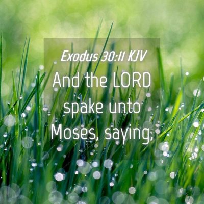Picture 04 - Exodus 30:11 KJV - And the LORD spake unto Moses, - Bible Verse Picture