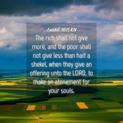 Picture 04 - Exodus 30:15 KJV - The rich shall not give more, and the poor shall - Bible Verse Picture