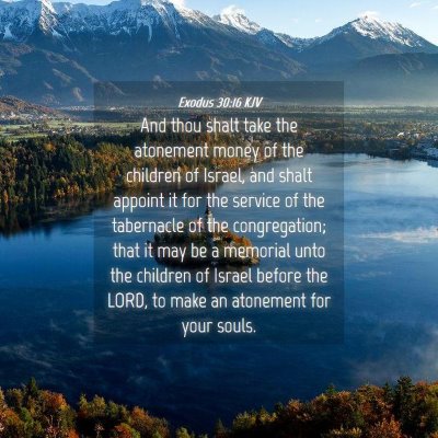 Picture 04 - Exodus 30:16 KJV - And thou shalt take the atonement money of the - Bible Verse Picture