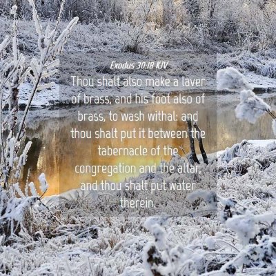 Picture 04 - Exodus 30:18 KJV - Thou shalt also make a laver of brass, and his - Bible Verse Picture