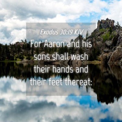 Picture 04 - Exodus 30:19 KJV - For Aaron and his sons shall wash their hands and - Bible Verse Picture