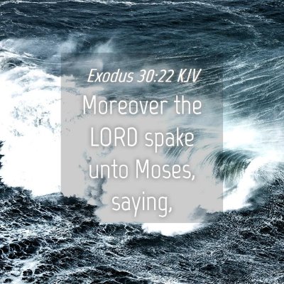 Picture 04 - Exodus 30:22 KJV - Moreover the LORD spake unto Moses, - Bible Verse Picture