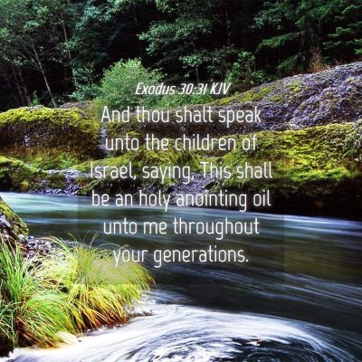 Picture 04 - Exodus 30:31 KJV - And thou shalt speak unto the children of Israel, - Bible Verse Picture