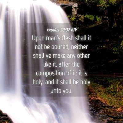 Picture 04 - Exodus 30:32 KJV - Upon man's flesh shall it not be poured, neither - Bible Verse Picture