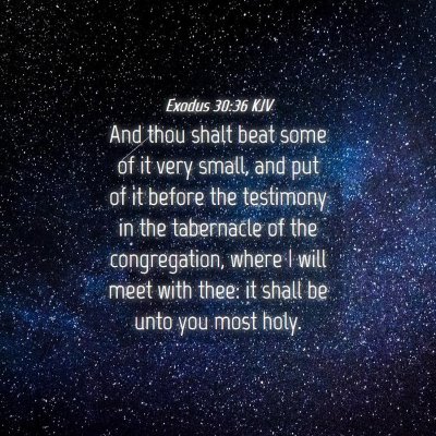 Picture 04 - Exodus 30:36 KJV - And thou shalt beat some of it very small, and - Bible Verse Picture