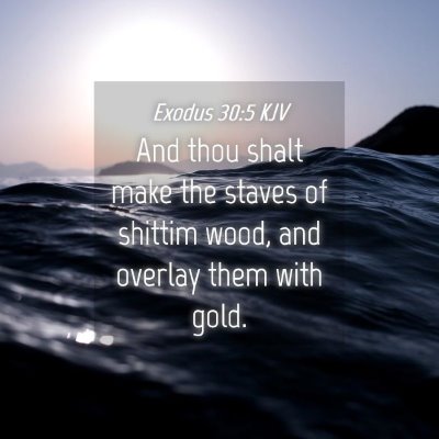 Picture 04 - Exodus 30:5 KJV - And thou shalt make the staves of shittim wood, - Bible Verse Picture