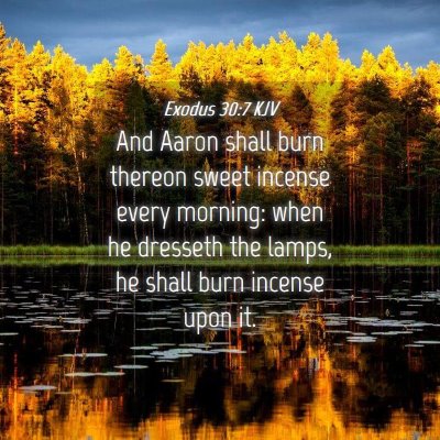 Picture 04 - Exodus 30:7 KJV - And Aaron shall burn thereon sweet incense every - Bible Verse Picture