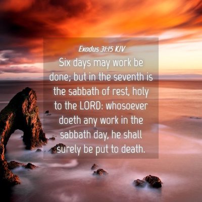 Picture 04 - Exodus 31:15 KJV - Six days may work be done; but in the seventh is - Bible Verse Picture
