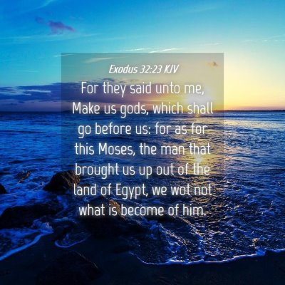 Picture 04 - Exodus 32:23 KJV - For they said unto me, Make us gods, which shall - Bible Verse Picture