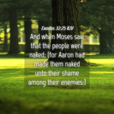 Picture 04 - Exodus 32:25 KJV - And when Moses saw that the people were naked; - Bible Verse Picture